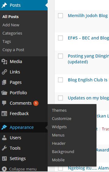 Getting Widgy with it - Tentang Widget di Wordpress nih! 1