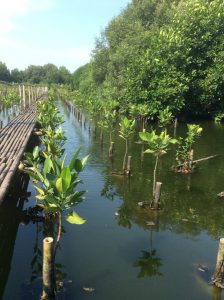 Wisata Alam Tersembunyi di Jakarta 3