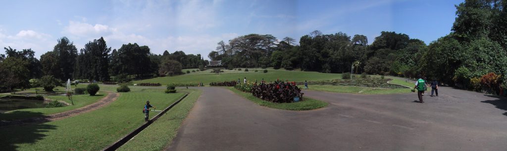 bogor botanical garden