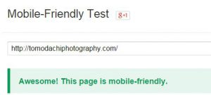 review website tomodachi photography mobile friendly test