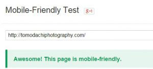 review website tomodachi photography mobile friendly test