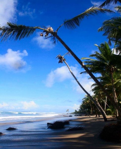 pantai di indonesia yang wajib dikunjungi - mentawai