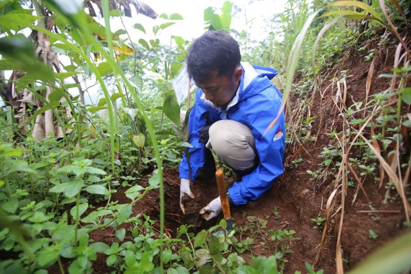 penghijauan kembali oleh astra