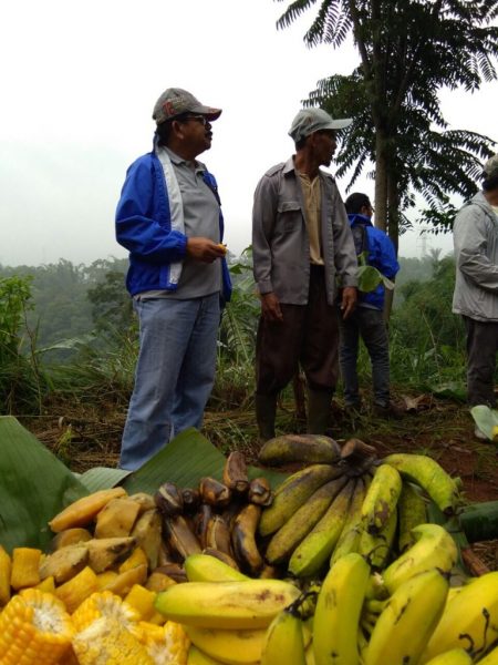 program csr astra untuk pelestarian lingkugnan