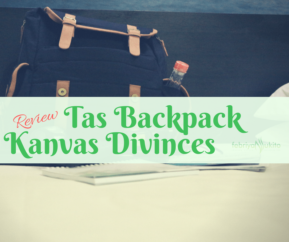 review tas backpack atau ransel kanvas divinces